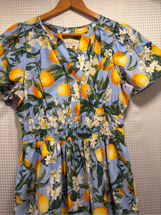 Anthropologie Dresses & Skirts - Anthropologie Blue Lemon-Print Button midi dress